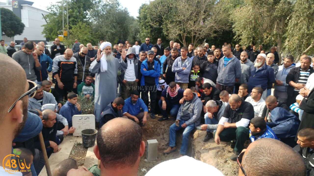 tashye3 abo kashef (9).jpg